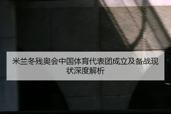 mi-lan-dong-can-ao-hui-zhong-guo-ti-yu-dai-biao-tuan-cheng-li-ji-bei-zhan-xian-zhuang-shen-du-jie-xi-1-616.jpg